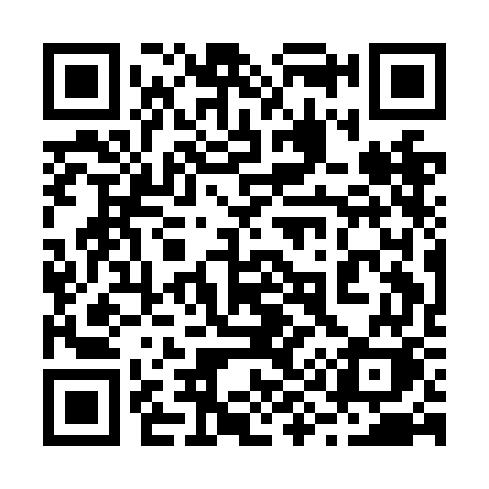 QR code for 291NGK