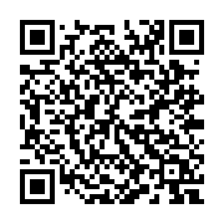 QR code for 291PET