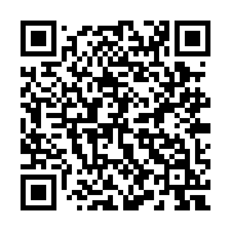 QR code for 291PIN