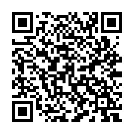QR code for 291SVM