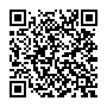 QR code for 291TZV