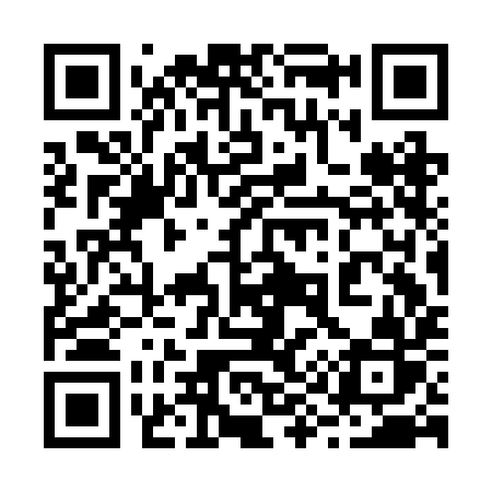 QR code for 293BIR