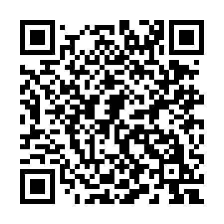 QR code for 293DAO