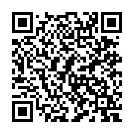 QR code for 293DAU