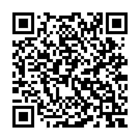 QR code for 293RAN