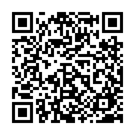 QR code for 294CIG