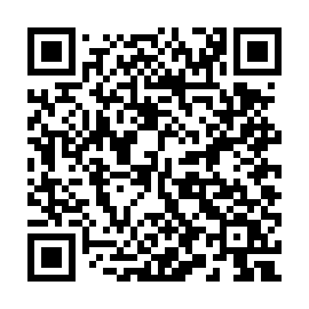 QR code for 294DUV