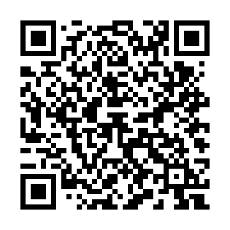 QR code for 294FSI