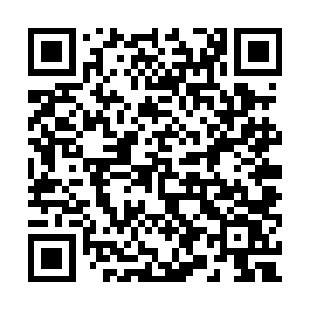 QR code for 294PLV