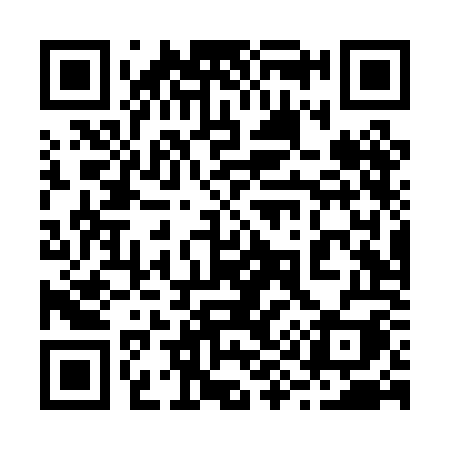 QR code for 294POI