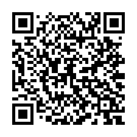 QR code for 294PPV