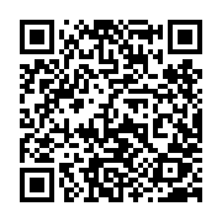 QR code for 294THZ