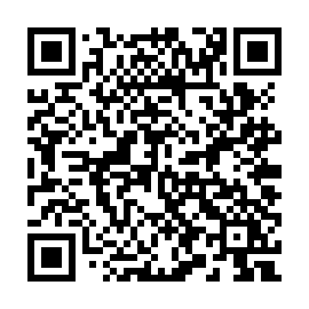 QR code for 294ZDY