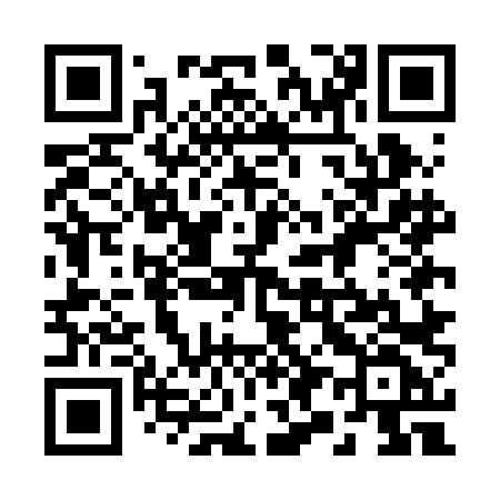 QR code for 295BLF