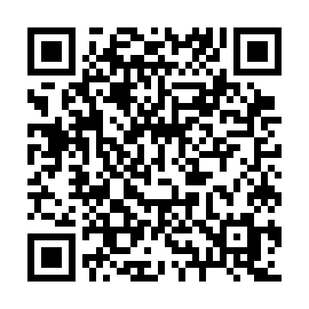 QR code for 295CKM