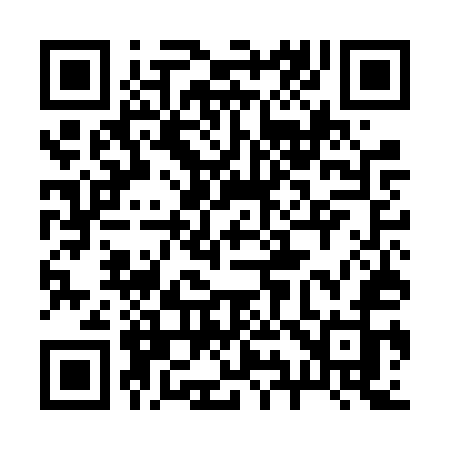 QR code for 295FUJ