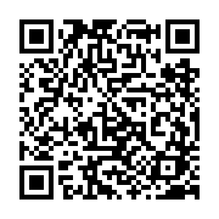 QR code for 295GDK