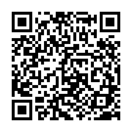 QR code for 295HLI