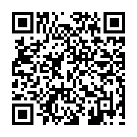 QR code for 295ITN