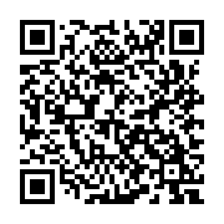 QR code for 295IZO