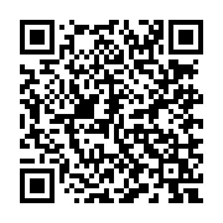 QR code for 295LMU