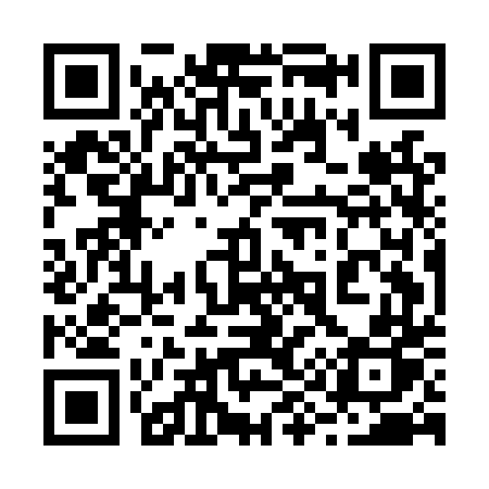 QR code for 295LTP