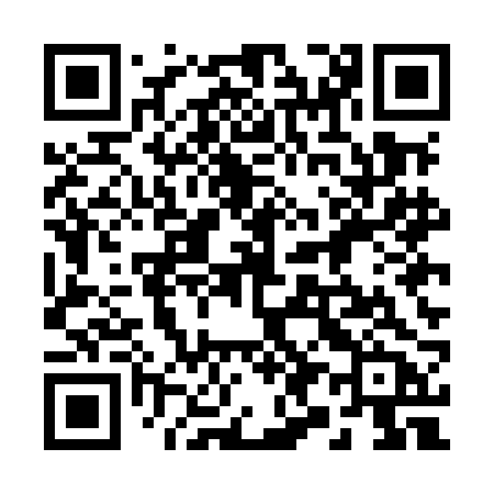 QR code for 295MBB