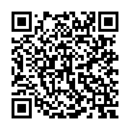 QR code for 295MEZ