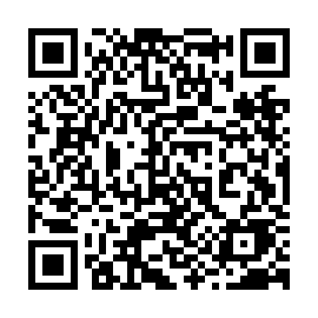 QR code for 295NKE