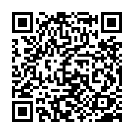 QR code for 295OCX