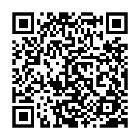 QR code for 295OJJ