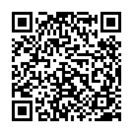 QR code for 295PGR