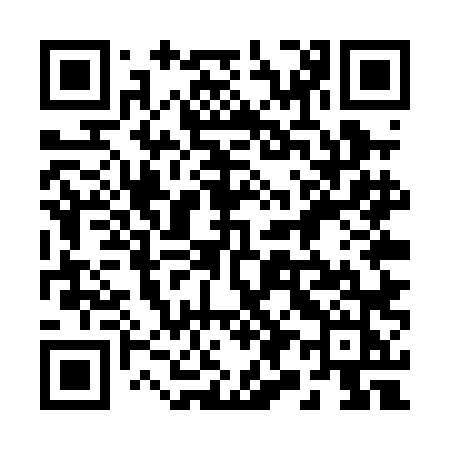 QR code for 295PLJ