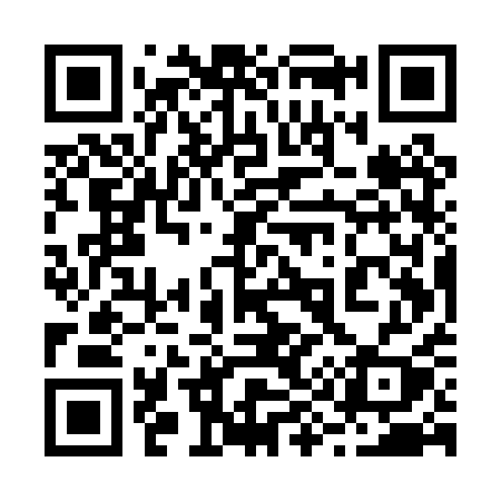 QR code for 295PQY