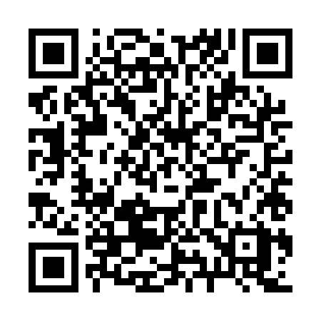 QR code for 295QHX