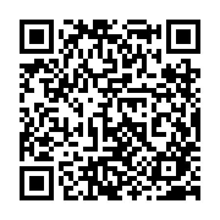 QR code for 295SHO