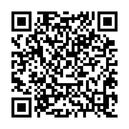 QR code for 295SLK