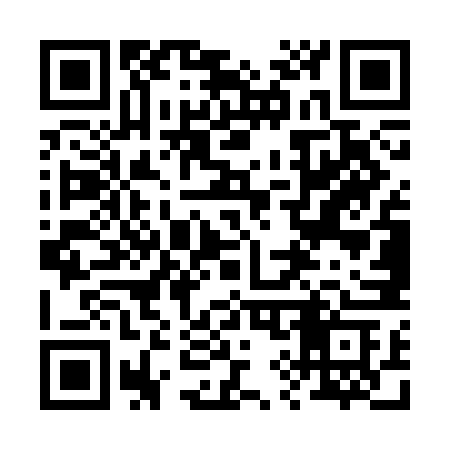 QR code for 295SNC