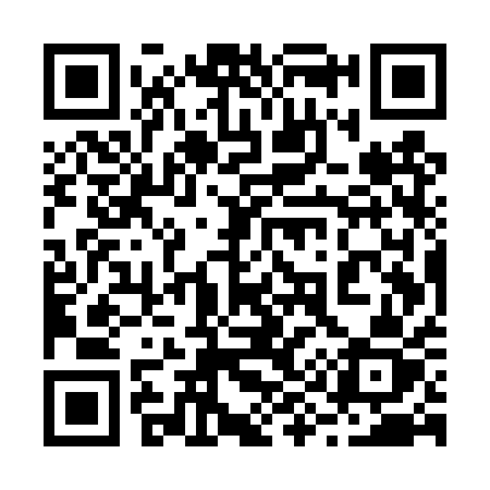 QR code for 295TQZ