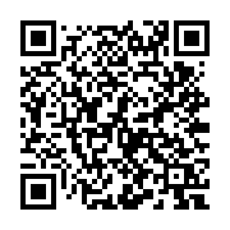 QR code for 295VWS