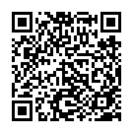 QR code for 295VXE