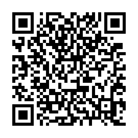 QR code for 295WDK