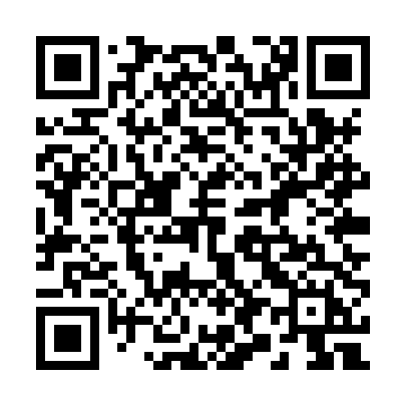 QR code for 295XTH
