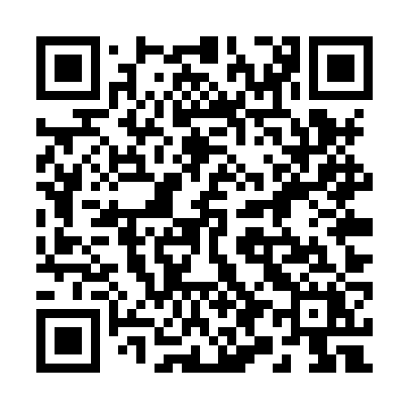 QR code for 295XZX