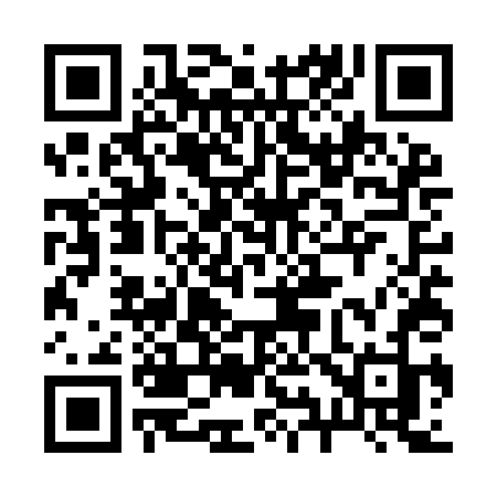 QR code for 295YDJ