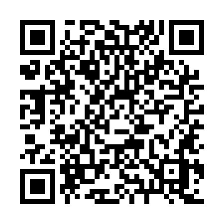 QR code for 299QLZ