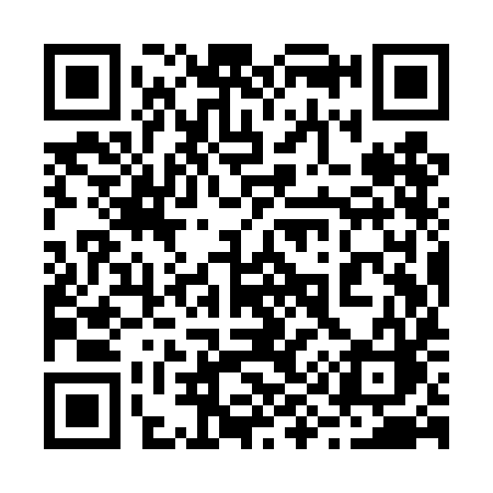 QR code for 299TIC