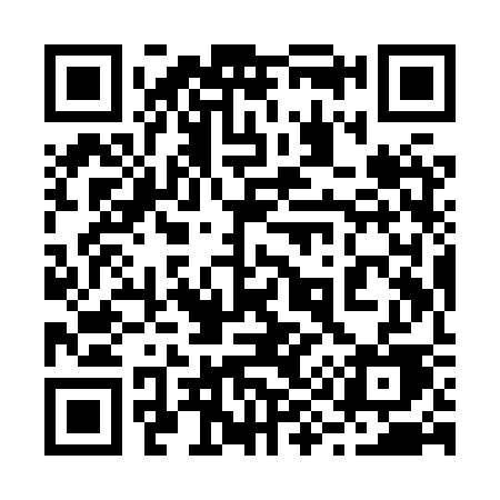 QR code for 299XSE