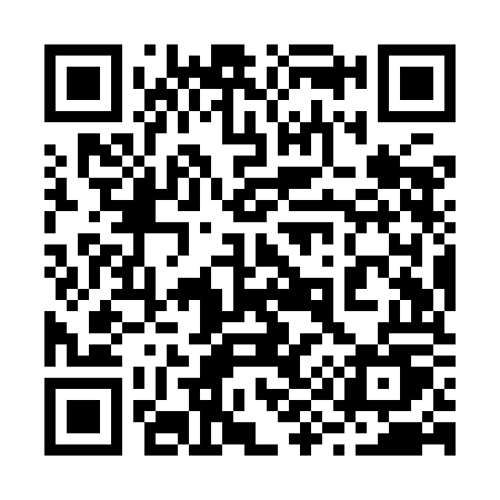 QR code for 299YOU