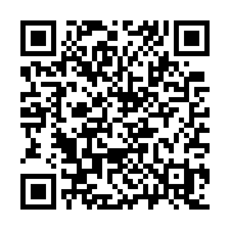 QR code for 304WPI